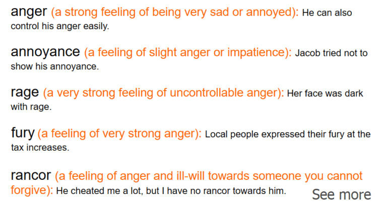 synonyms of anger