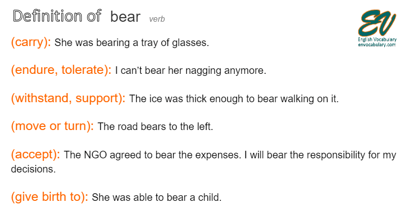 bear definition