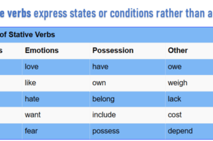 Stative Verbs - Grammar - English Vocabulary – Envocabulary.com